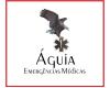 AGUIA EMERGENCIAS MEDICAS - AMBULANCIA PARA REMOÇÃO PARTICULAR EM SP logo
