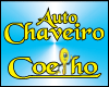 AUTO CHAVEIRO COELHO - CHAVEIRO GUARULHOS