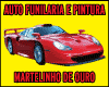 AUTO FUNILARIA E PINTURA MARTELINHO DE OURO