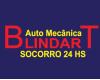 AUTO MECANICA BLINDART SOCORRO 24H