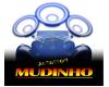 AUTOSSOM MUDINHO logo