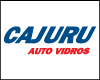 AUTOVIDROS CAJURU logo