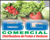 B G COMERCIO  logo