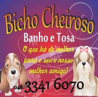 BANHO E TOSA BICHO CHEIROSO