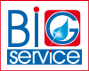 BIG SERVICE logo