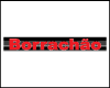 BORRACHAO VIDROS E ACESSORIOS logo