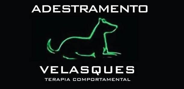 Adestramento Velasques - Terapia Comportamental logo