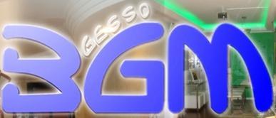 BGM Gesso logo