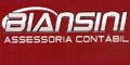 Biansini Assessoria Contábil logo