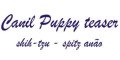 Canil Puppy Teaser