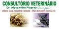Clínica Veterinária Dr. Alessandro Pibernat logo