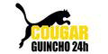 Cougar Guinchos e Mecânica