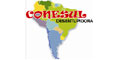 Desentupidora Conesul logo