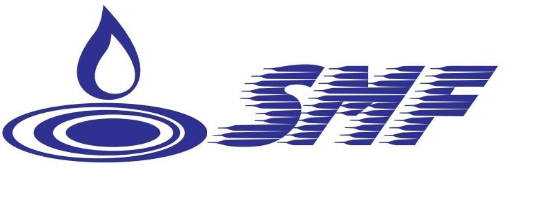 Desentupidora SMF logo