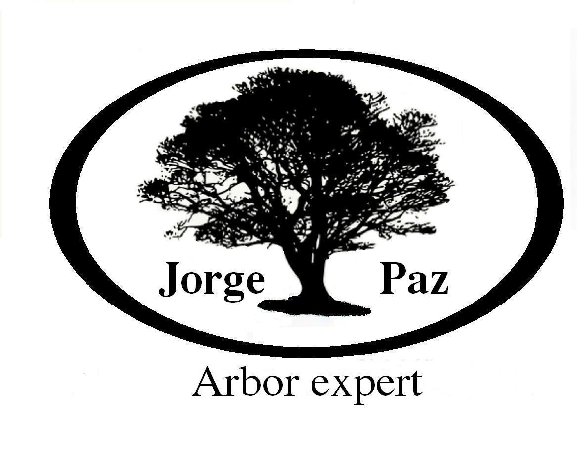 EQUIPE JORGE PAZ logo
