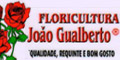 Floricultura João Gualberto