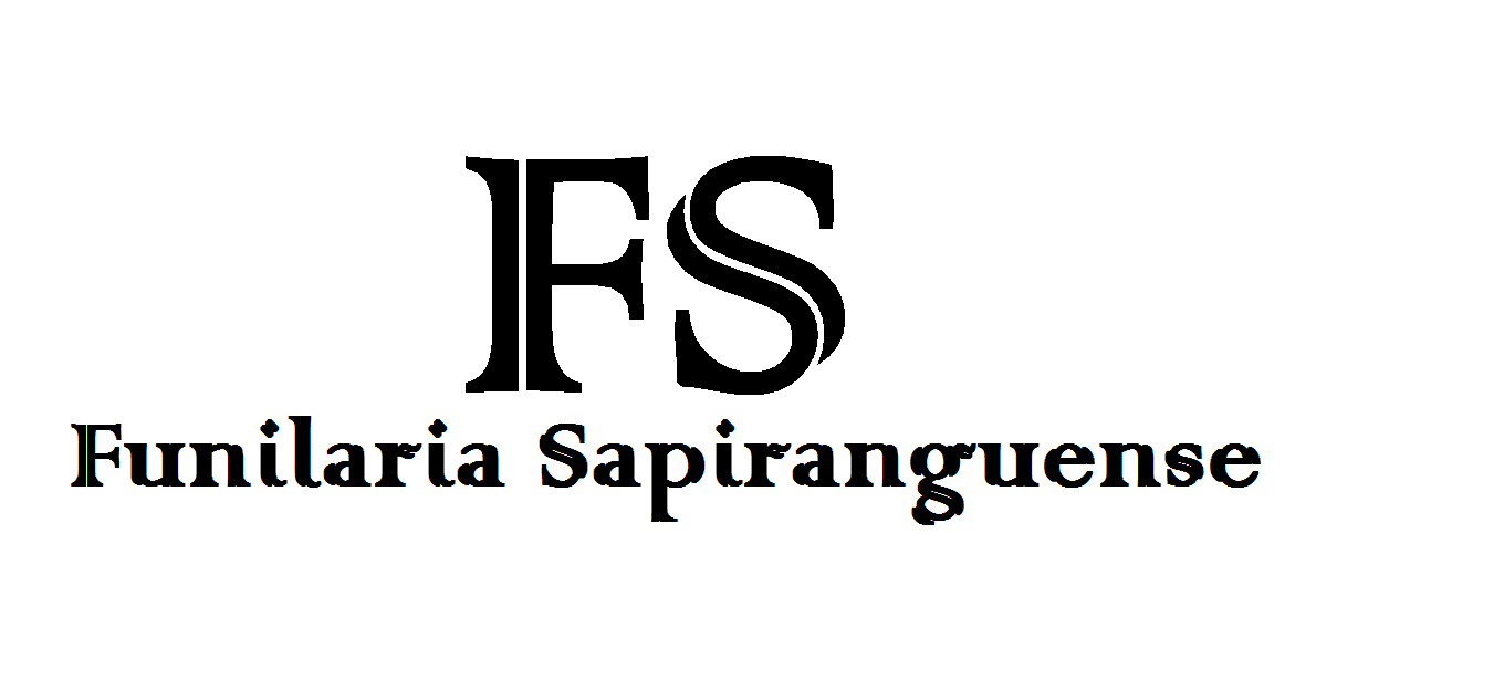 FUNILARIA SAPIRANGUENSE logo