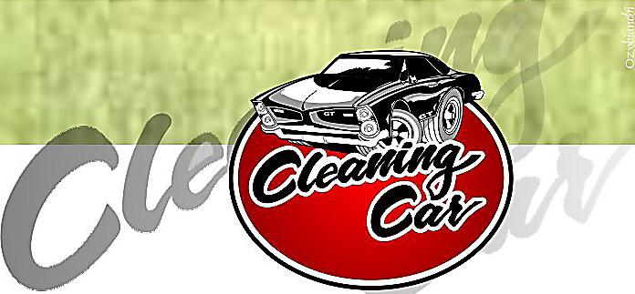 Grupo Omicron Cleaning Car