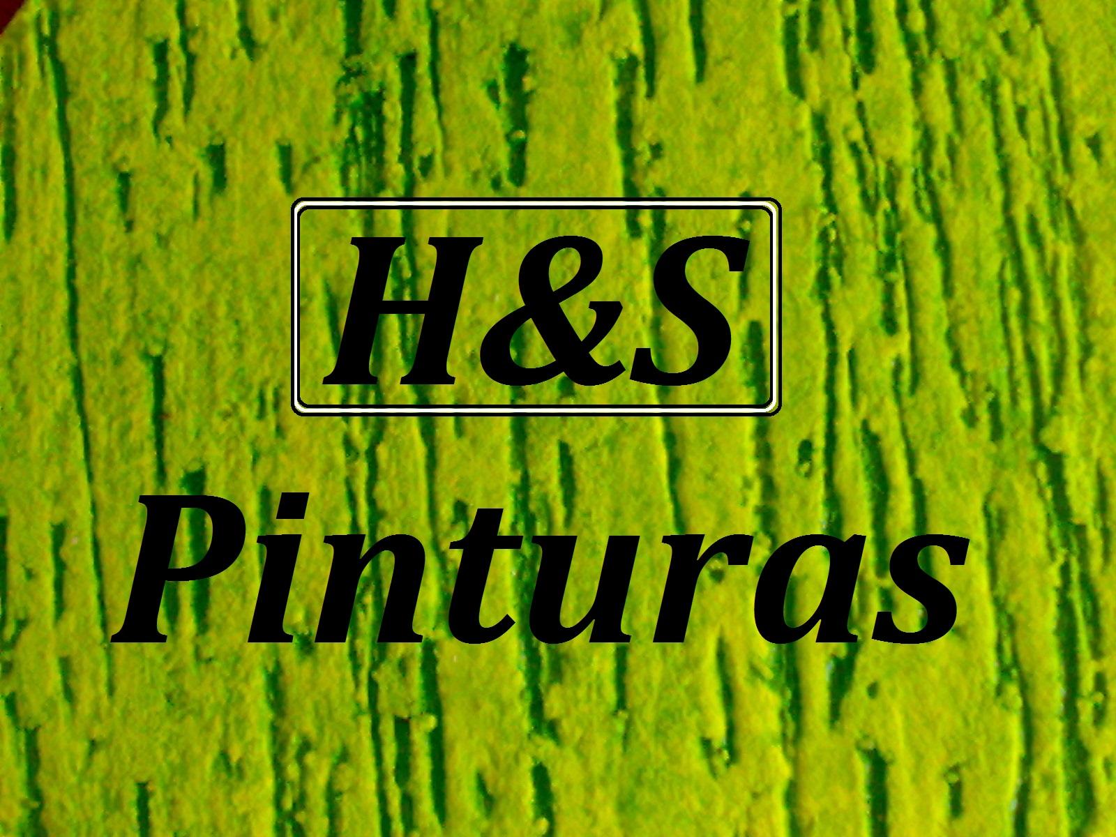 H&S Pinturas