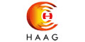 Haag Consultoria em RH e Assessoria Empresarial