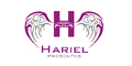 Hariel Presentes logo