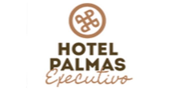 Hotel Palmas Executivo logo