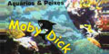 Moby Dick Aquários