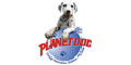 Planet Dog Clínica Veterinária 24h - Dr. Pedro Ferraz