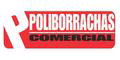 POLIBORRACHAS logo