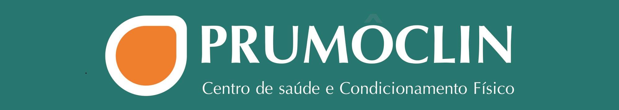 Prumofisio logo