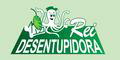 REI DESENTUPIDORA logo