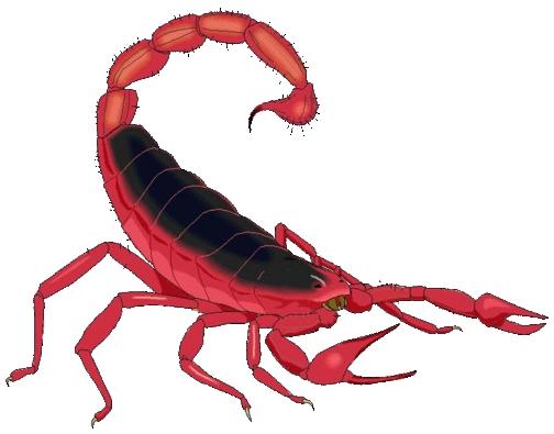 Scorpion Security - Zeladoria e Prestação de Serviços logo