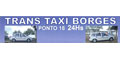Trans Táxi Borges logo