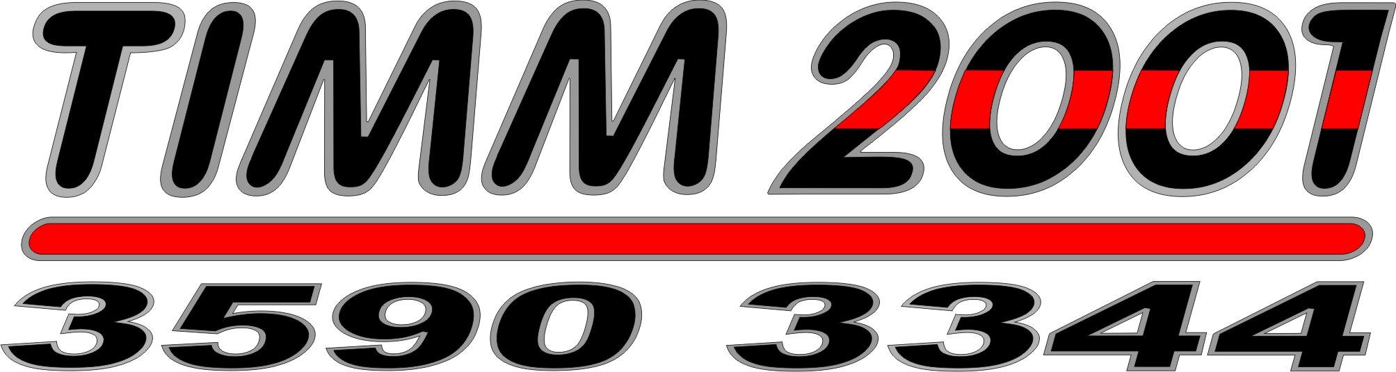 Transportes Timm 2001 logo