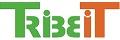 Tribe Informática logo