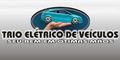 Trio Elétrico de Veículos logo