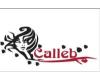 CALLEB-ESCOLA PROFISSIONALIZANTE  DE CABELEIREIROS logo
