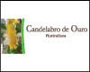 CANDELABRO DE OURO FLORICULTURA