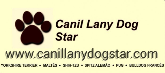 Canil lany Dog star logo