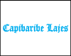 CAPIBARIBE LAJES logo