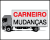 CARNEIRO MUDANCAS