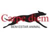 CARPE DIEM Pet Shop logo