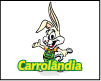 CARROLANDIA PECAS logo