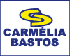 CECB - CENTRO EDUCACIONAL CARMELIA BASTOS logo