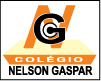 COLÉGIO NELSON GASPAR logo