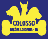 COLOSSO RACOES logo