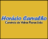 COMERCIO DE VIDROS HORACIO CARVALHO