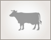 CURRAL PRODUTOS AGROPECUARIOS logo