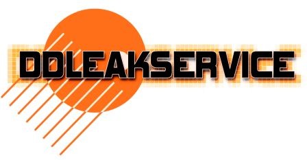DD LEAK SERVICE Ltda. logo