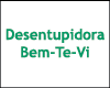 DESENTUPIDORA BEM TE VI logo